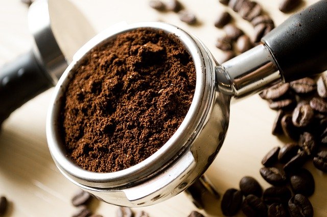 Le marc de café pour votre potager : ses bienfaits et son utilisation